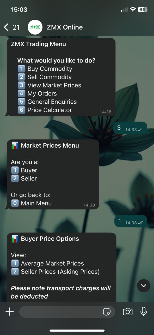 ZMX WhatsApp Interface